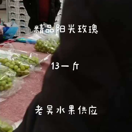 莱西市阳光玫瑰