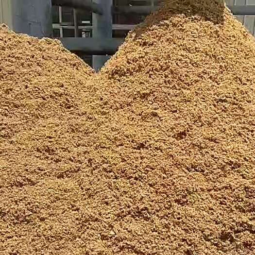 赣州大量鲜新啤酒糟供应