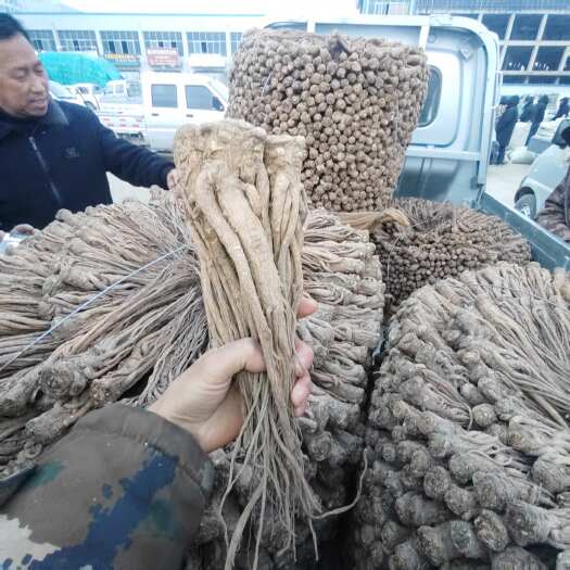 岷县当归加工精品