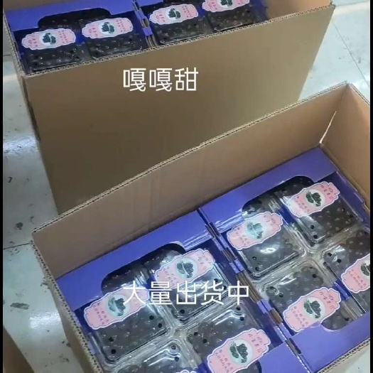 天津大量现货，欢迎各界大佬提前订购