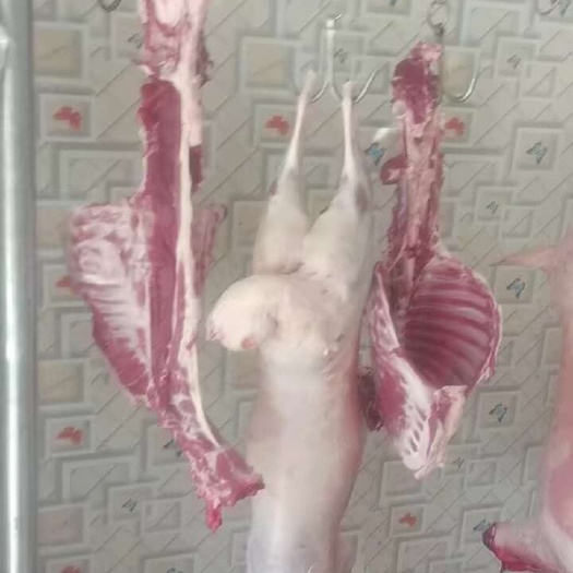 右玉县右玉羊肉