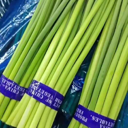 商河县优质一级红帽二级白帽，库内待售，欢迎新老客户惠顾！