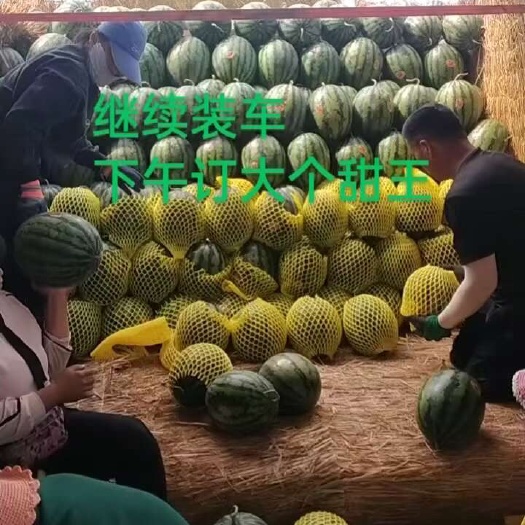 甜王西瓜