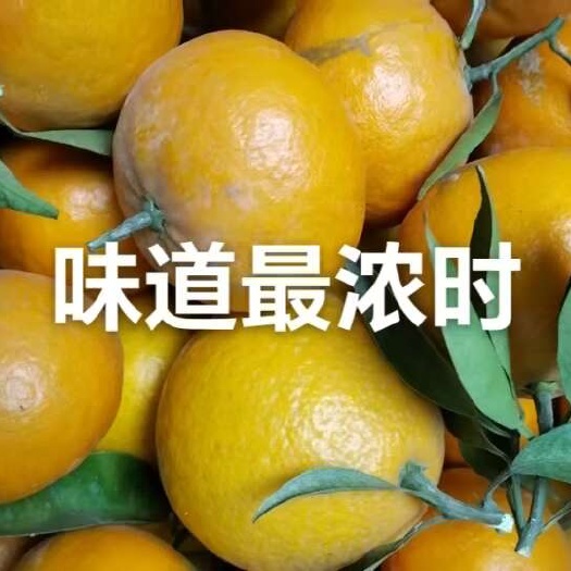 德阳明日见和阳光一号