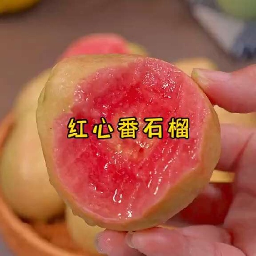 康县番石榴