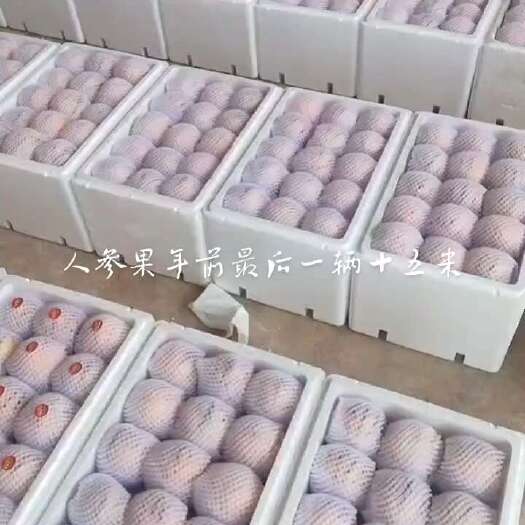 霍邱县人参果