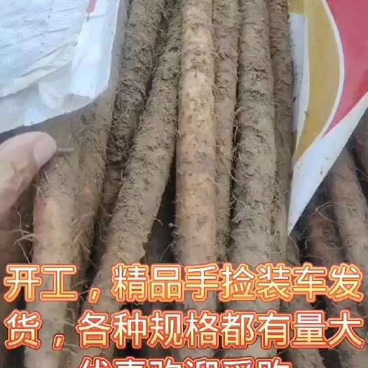 蠡县铁棍山药双棒小白嘴白山药棒药等代办代发全国发货，产地直发