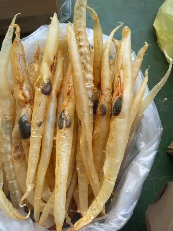 鳝鱼胶包邮鳗鱼胶鳝胶含有丰富的胶原蛋白，具有高蛋白等