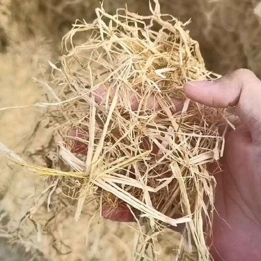 威县柔丝稻草
