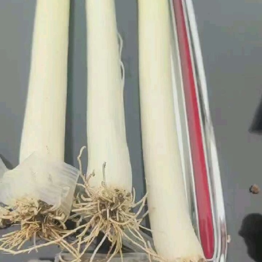 启东市价位便宜，自产自销，没有任何代办费用产生，保值保量