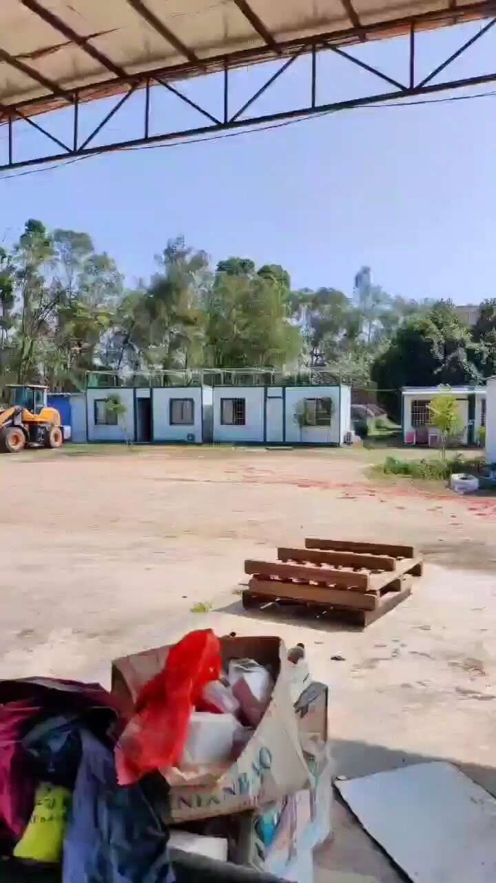 电白千禧圣女果产地直供走货源头对接合作流程