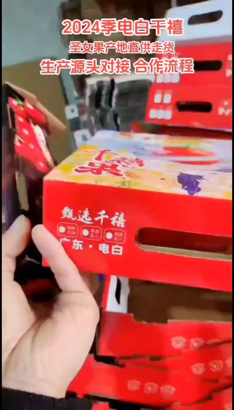 电白千禧圣女果产地直供走货源头对接合作流程