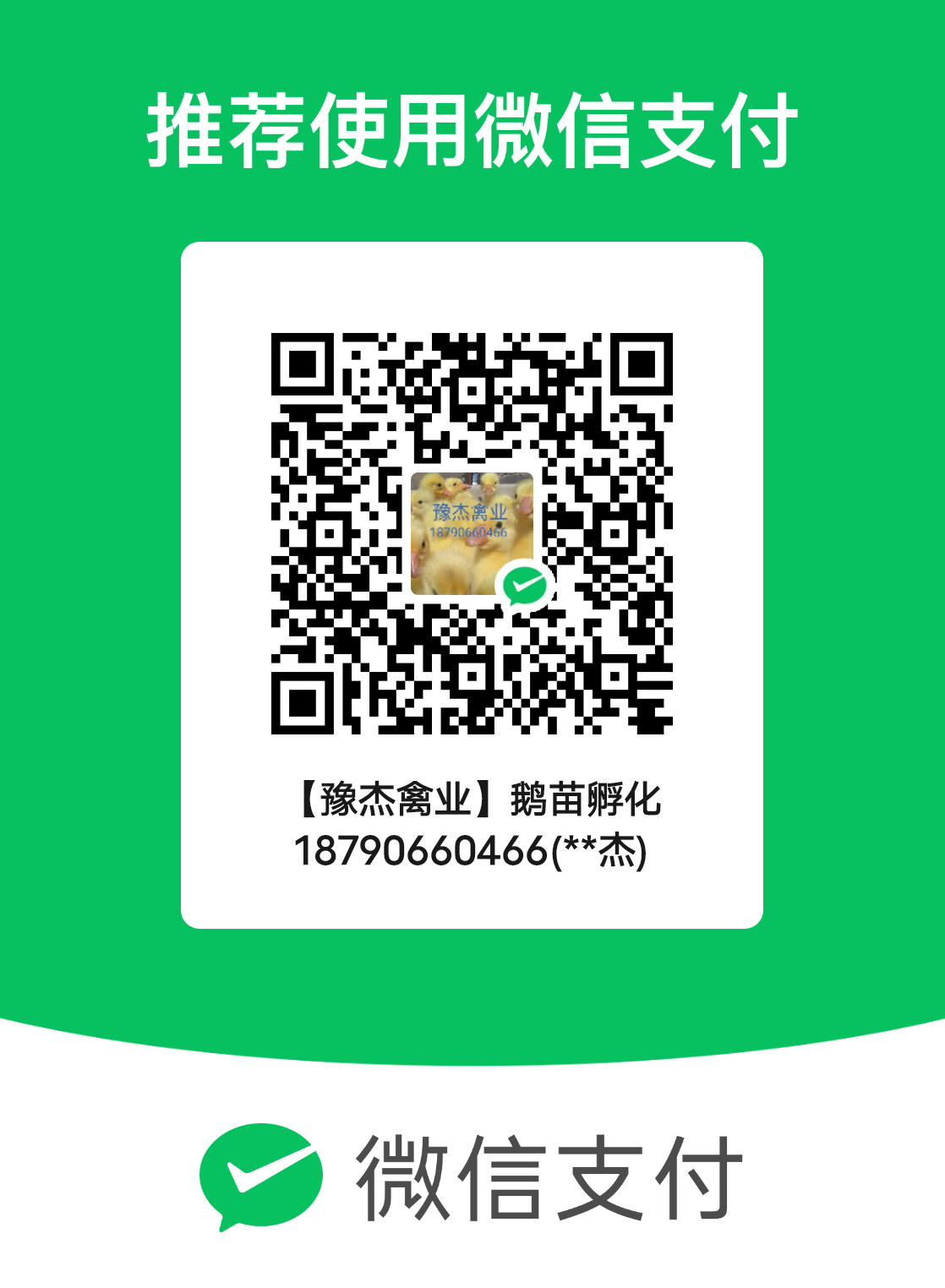 豫杰禽業(yè)鵝苗孵化場(chǎng)