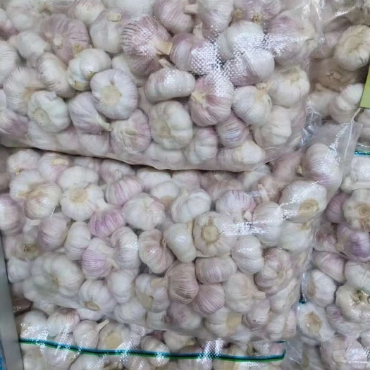 金乡县金乡大蒜蒜苔辣椒