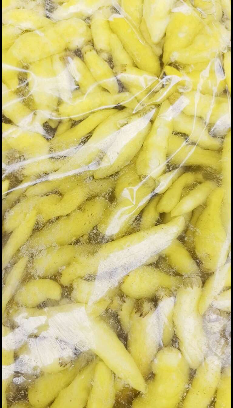 盐水泡菜 红米椒 小米辣二荆条 小姜，一手货源厂家直发