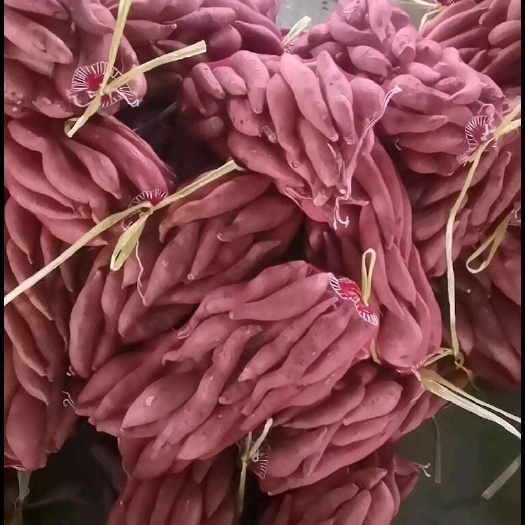 网袋烟薯25蜜薯红薯红心 软糯香甜流糖无丝团购5斤网袋