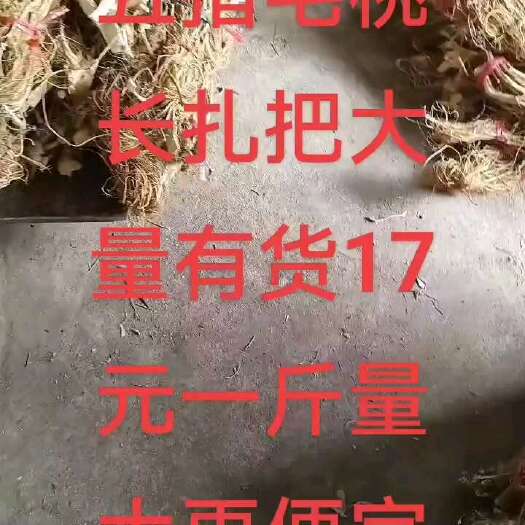 浦北县五指毛桃长扎把  足干新货   广西一手货源产地直销