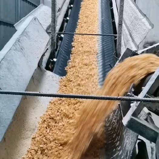 正定县玉米压片