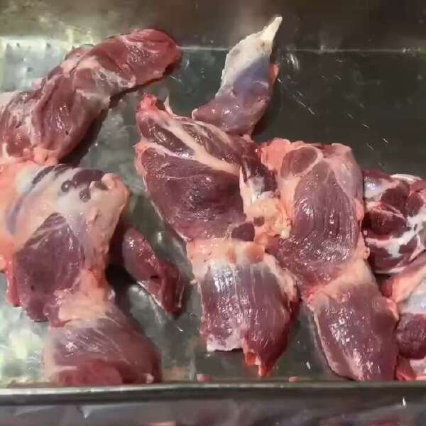 母猪副腱