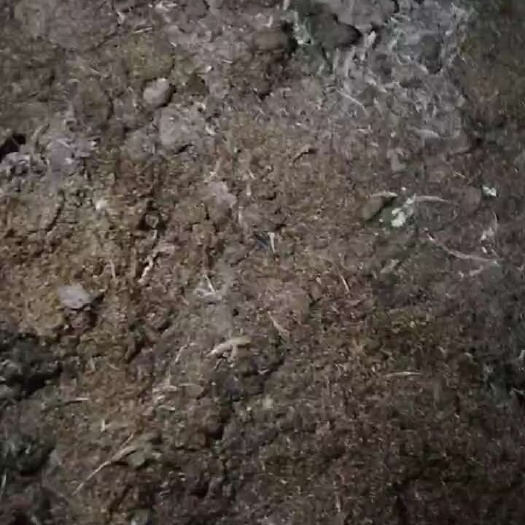 南陵县稻壳鸡粪