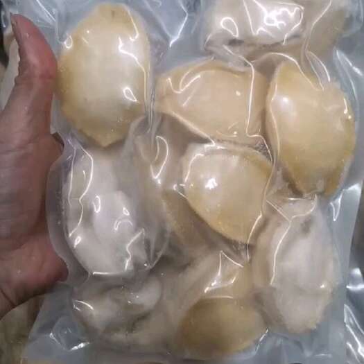 佛山10头黄金鲍鱼