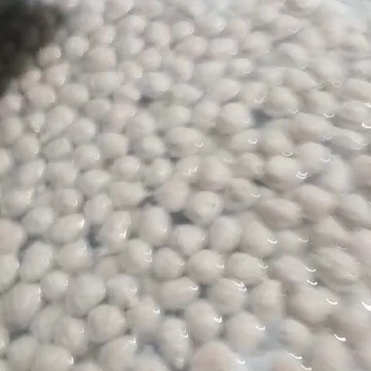 阳谷县猪肉丸