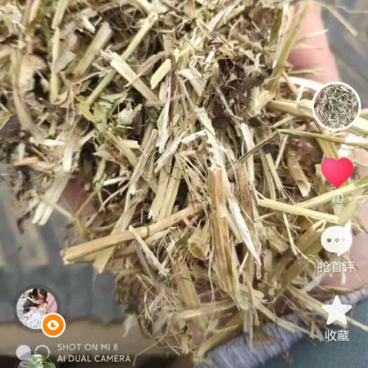 唐河县花生秧