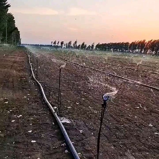 济南插地喷360度旋转中距离喷头浇水育苗站喷地插微喷