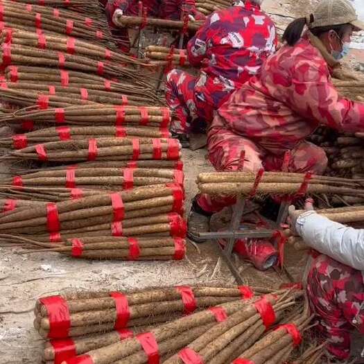 蠡县整车双棒打捆货