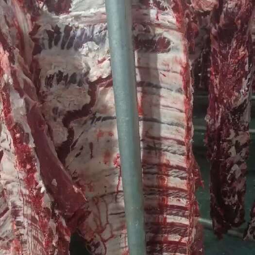 阳信县多肉鲜牛排