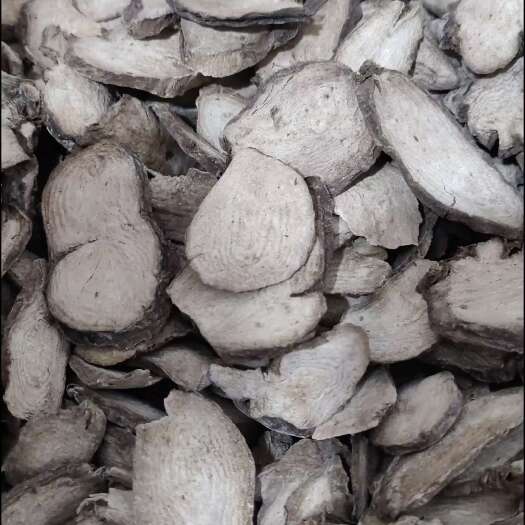 入地老鼠干片（钻地老鼠）紫茉莉根