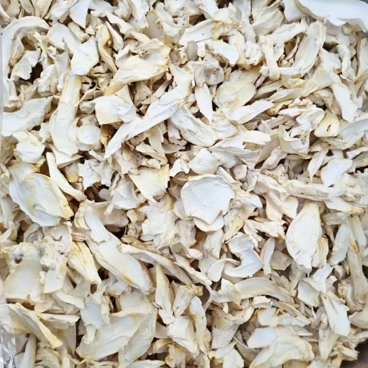 长沙杏鲍菇干品，常年有货