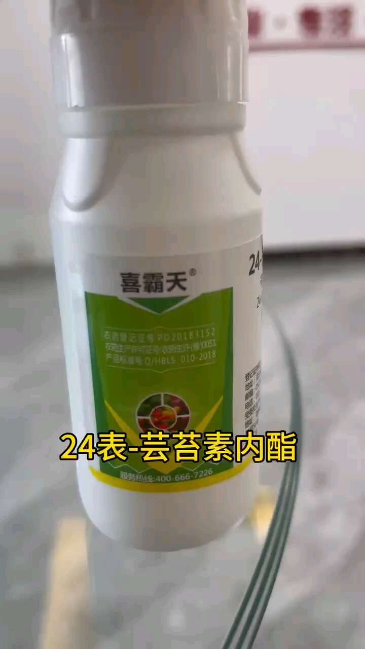 0.4%芸苔素赤霉酸营养，解药害，膨大，拉长 调节剂