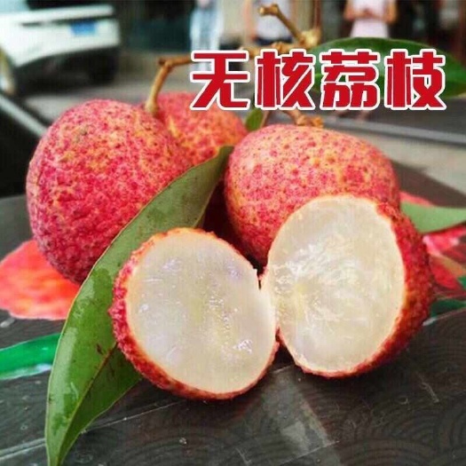 灵山县无核荔枝苗嫁接树苗南北方盆栽地栽阳台庭院种植带土带叶基地直发