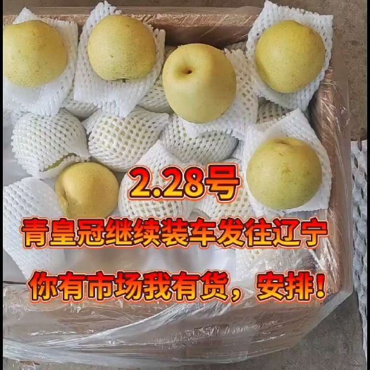 赵县青皇冠继续装车！
