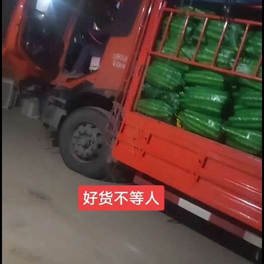 大邑县三青莴笋