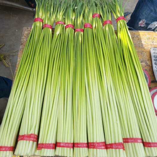 邳州市白帽蒜薹