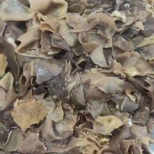 成都毛肚 牛副 碎叶片 冒菜 自助餐 串串店强烈推荐