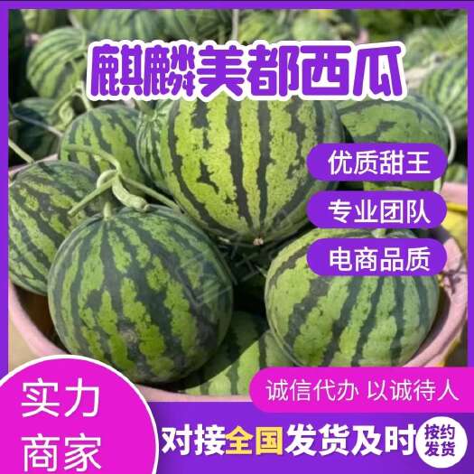 云南美都西瓜，糖度13+，耐运输，质量可靠，代发全国！