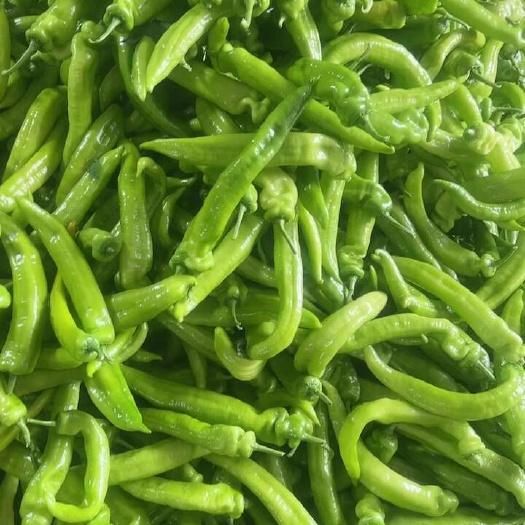 黃皮尖椒