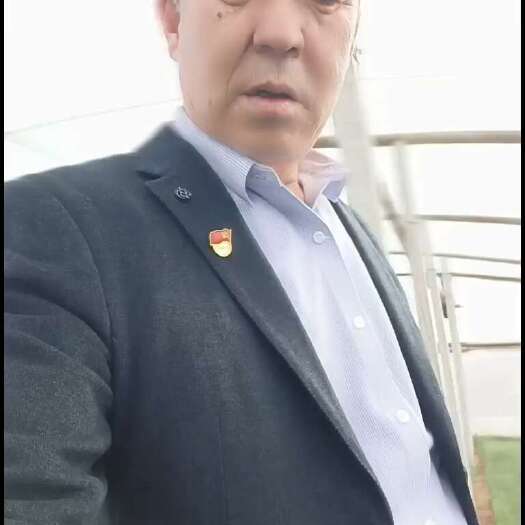 高端品种葱苗