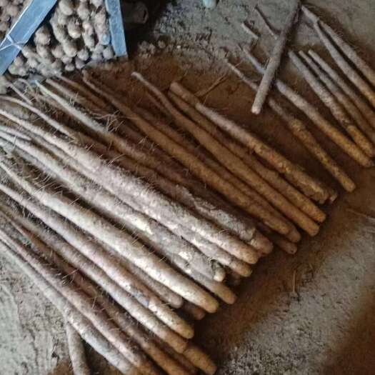 蠡县铁棍山药双棒小白嘴白山药棒药等保质保量诚信第一全国发货