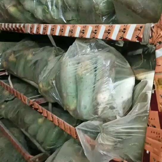 沁陽市大量供應(yīng)加工廠養(yǎng)殖場水果蘿卜，青蘿卜