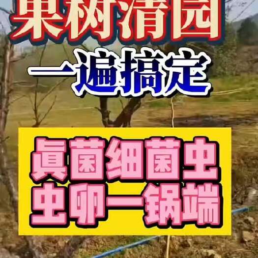 潍坊杀菌清园套餐 真细菌通杀+杀虫杀卵