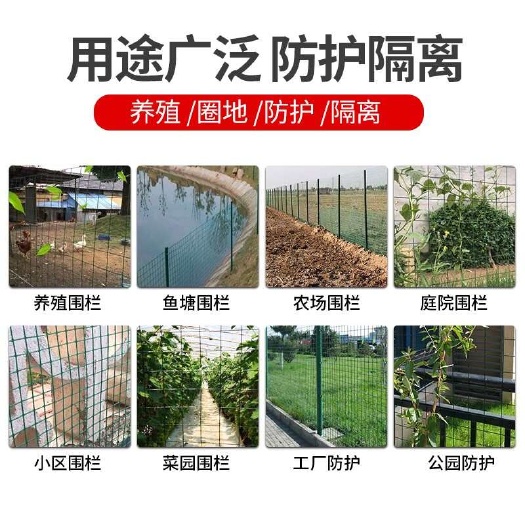 安平县荷兰网批发 现货铁丝网 裹塑 养殖网 果园隔离栅