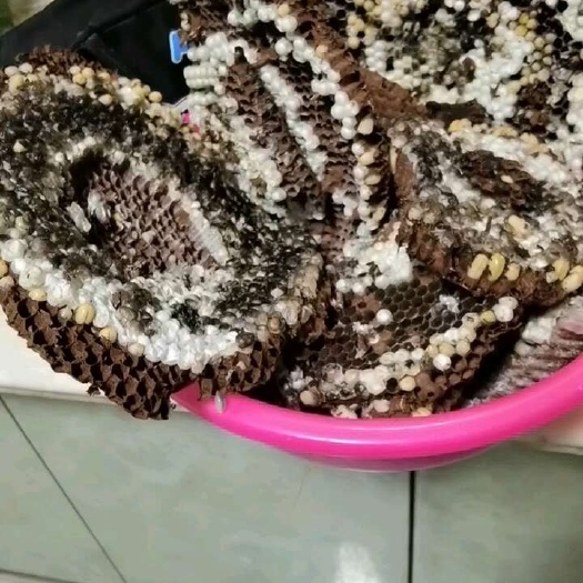 酉阳蜂房