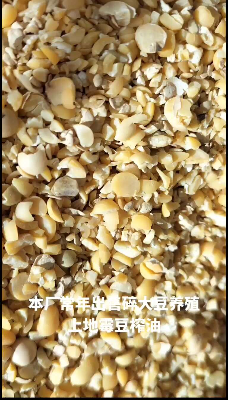 本厂常年出售，碎黄豆，黄豆，豆瓣，碎大豆，上地。养殖，榨油，