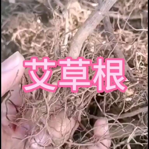 本地艾根，土质不一样，颜色就不一样，有黄色有黑色的，随机发货