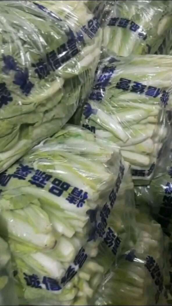 白菜苔湘妹子银琳321五号白菜苔多品种适合各地市场可大量供应