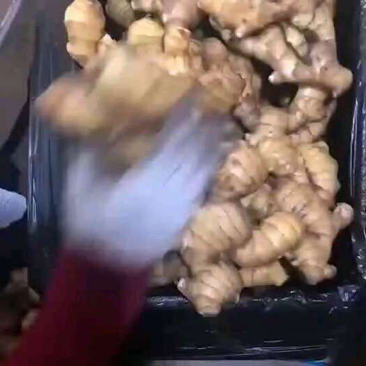 福清市二黄姜
